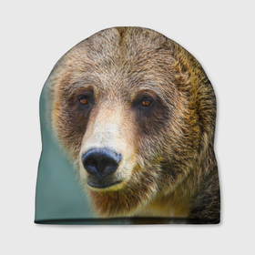 Шапка 3D с принтом Русский бурый медведь , 100% полиэстер | универсальный размер, печать по всей поверхности изделия | 