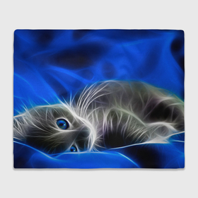 Плед 3D с принтом Спящий неоновый котёнок на синем фоне в Кировске, 100% полиэстер | закругленные углы, все края обработаны. Ткань не мнется и не растягивается | Тематика изображения на принте: 