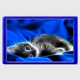 Магнит 45*70 с принтом Спящий неоновый котёнок на синем фоне в Петрозаводске, Пластик | Размер: 78*52 мм; Размер печати: 70*45 | 