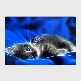 Магнитный плакат 3Х2 с принтом Спящий неоновый котёнок на синем фоне в Петрозаводске, Полимерный материал с магнитным слоем | 6 деталей размером 9*9 см | 