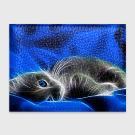 Обложка для студенческого билета с принтом Спящий неоновый котёнок на синем фоне в Кировске, натуральная кожа | Размер: 11*8 см; Печать на всей внешней стороне | 