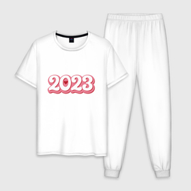 Мужская пижама хлопок с принтом Love 2023 в Курске, 100% хлопок | брюки и футболка прямого кроя, без карманов, на брюках мягкая резинка на поясе и по низу штанин
 | Тематика изображения на принте: 