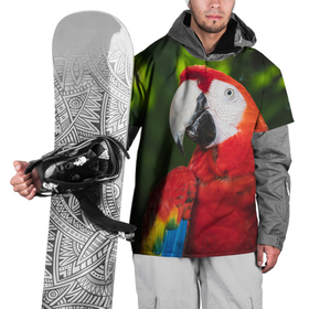 Накидка на куртку 3D с принтом Красный попугай Ара в Новосибирске, 100% полиэстер |  | 