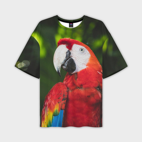 Мужская футболка OVERSIZE 3D с принтом Красный попугай Ара в Курске,  |  | Тематика изображения на принте: 