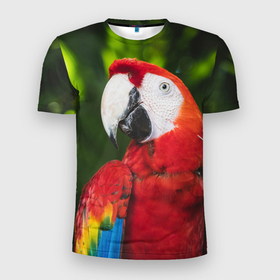 Мужская футболка 3D Slim с принтом Красный попугай Ара в Курске, 100% полиэстер с улучшенными характеристиками | приталенный силуэт, круглая горловина, широкие плечи, сужается к линии бедра | Тематика изображения на принте: 