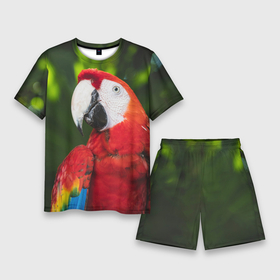 Мужской костюм с шортами 3D с принтом Красный попугай Ара в Курске,  |  | Тематика изображения на принте: 