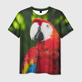 Мужская футболка 3D с принтом Красный попугай Ара в Кировске, 100% полиэфир | прямой крой, круглый вырез горловины, длина до линии бедер | 