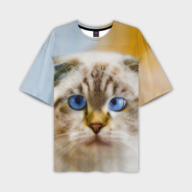 Мужская футболка oversize 3D с принтом Кошка породы шотландская вислоухая косоглазая ,  |  | 