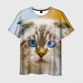 Мужская футболка 3D с принтом Кошка породы шотландская вислоухая косоглазая , 100% полиэфир | прямой крой, круглый вырез горловины, длина до линии бедер | 