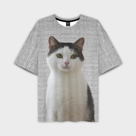 Мужская футболка oversize 3D с принтом Задумчивый котик в Петрозаводске,  |  | Тематика изображения на принте: 