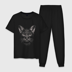 Мужская пижама хлопок с принтом Абиссинская кошка рисунок карандашом в Санкт-Петербурге, 100% хлопок | брюки и футболка прямого кроя, без карманов, на брюках мягкая резинка на поясе и по низу штанин
 | 
