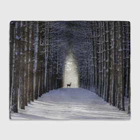 Плед 3D с принтом Олень в зимнем лесу в Кировске, 100% полиэстер | закругленные углы, все края обработаны. Ткань не мнется и не растягивается | Тематика изображения на принте: 