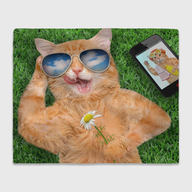 Плед 3D с принтом Рыжий кот лежит на траве в Белгороде, 100% полиэстер | закругленные углы, все края обработаны. Ткань не мнется и не растягивается | Тематика изображения на принте: 