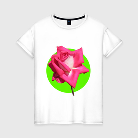 Женская футболка хлопок с принтом Роза  розовая , 100% хлопок | прямой крой, круглый вырез горловины, длина до линии бедер, слегка спущенное плечо | 