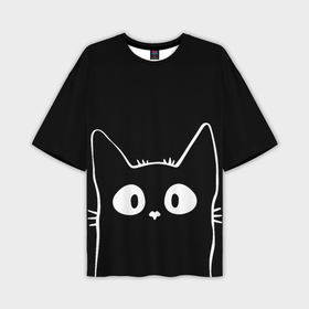 Мужская футболка oversize 3D с принтом Интересный котик в Тюмени,  |  | 