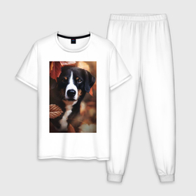 Мужская пижама хлопок с принтом Autumn and dog в Белгороде, 100% хлопок | брюки и футболка прямого кроя, без карманов, на брюках мягкая резинка на поясе и по низу штанин
 | 