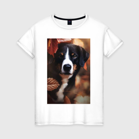 Женская футболка хлопок с принтом Autumn and dog в Новосибирске, 100% хлопок | прямой крой, круглый вырез горловины, длина до линии бедер, слегка спущенное плечо | Тематика изображения на принте: 