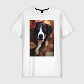 Мужская футболка хлопок Slim с принтом Autumn and dog в Белгороде, 92% хлопок, 8% лайкра | приталенный силуэт, круглый вырез ворота, длина до линии бедра, короткий рукав | Тематика изображения на принте: 