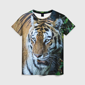 Женская футболка 3D с принтом Тигр в шоке в Курске, 100% полиэфир ( синтетическое хлопкоподобное полотно) | прямой крой, круглый вырез горловины, длина до линии бедер | 