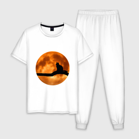 Мужская пижама хлопок с принтом Черный кот смотрит на луну в Курске, 100% хлопок | брюки и футболка прямого кроя, без карманов, на брюках мягкая резинка на поясе и по низу штанин
 | 