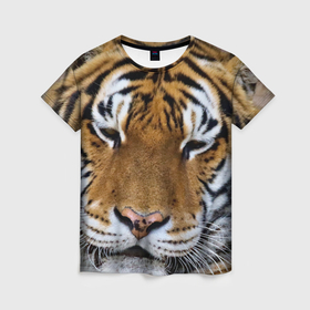 Женская футболка 3D с принтом Уставший тигр в Курске, 100% полиэфир ( синтетическое хлопкоподобное полотно) | прямой крой, круглый вырез горловины, длина до линии бедер | 