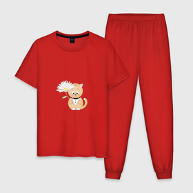 Мужская пижама хлопок с принтом Рыжий кот с ромашкой в Петрозаводске, 100% хлопок | брюки и футболка прямого кроя, без карманов, на брюках мягкая резинка на поясе и по низу штанин
 | 