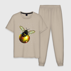Мужская пижама хлопок с принтом Пчелка на шаре в Курске, 100% хлопок | брюки и футболка прямого кроя, без карманов, на брюках мягкая резинка на поясе и по низу штанин
 | 
