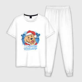 Мужская пижама хлопок с принтом Christmas beach party в Кировске, 100% хлопок | брюки и футболка прямого кроя, без карманов, на брюках мягкая резинка на поясе и по низу штанин
 | 