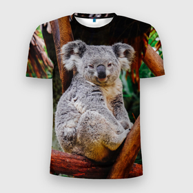 Мужская футболка 3D Slim с принтом Очень уставшая коала в Санкт-Петербурге, 100% полиэстер с улучшенными характеристиками | приталенный силуэт, круглая горловина, широкие плечи, сужается к линии бедра | Тематика изображения на принте: 