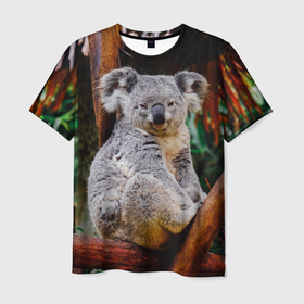 Мужская футболка 3D с принтом Очень уставшая коала в Санкт-Петербурге, 100% полиэфир | прямой крой, круглый вырез горловины, длина до линии бедер | Тематика изображения на принте: 