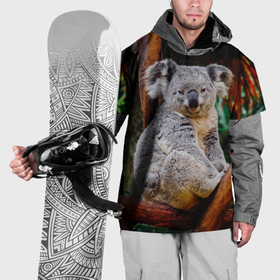 Накидка на куртку 3D с принтом Очень уставшая коала в Санкт-Петербурге, 100% полиэстер |  | Тематика изображения на принте: 