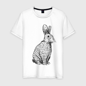 Мужская футболка хлопок с принтом Нарисованный карандашом кролик в Кировске, 100% хлопок | прямой крой, круглый вырез горловины, длина до линии бедер, слегка спущенное плечо. | 