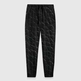 Мужские брюки 3D с принтом Кожа в черном цвете в Белгороде, 100% полиэстер | манжеты по низу, эластичный пояс регулируется шнурком, по бокам два кармана без застежек, внутренняя часть кармана из мелкой сетки | 