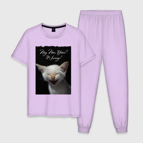 Мужская пижама хлопок с принтом Смеющийся котёнок в Тюмени, 100% хлопок | брюки и футболка прямого кроя, без карманов, на брюках мягкая резинка на поясе и по низу штанин
 | 
