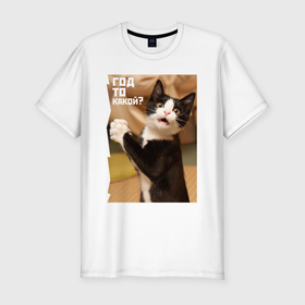 Мужская футболка хлопок Slim с принтом Прикольный удивлённый котёнок в Кировске, 92% хлопок, 8% лайкра | приталенный силуэт, круглый вырез ворота, длина до линии бедра, короткий рукав | 