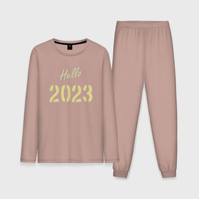 Мужская пижама хлопок (с лонгсливом) с принтом Hello 2023 в Курске,  |  | 