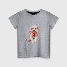 Детская футболка хлопок с принтом Белая собака с конфетой в Санкт-Петербурге, 100% хлопок | круглый вырез горловины, полуприлегающий силуэт, длина до линии бедер | 