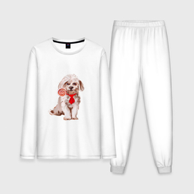 Мужская пижама хлопок (с лонгсливом) с принтом Белая собака с конфетой ,  |  | 