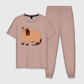 Мужская пижама хлопок с принтом Капибара красивая , 100% хлопок | брюки и футболка прямого кроя, без карманов, на брюках мягкая резинка на поясе и по низу штанин
 | 
