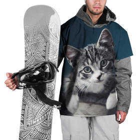 Накидка на куртку 3D с принтом Милый любопытный котёнок в Екатеринбурге, 100% полиэстер |  | Тематика изображения на принте: 