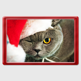 Магнит 45*70 с принтом Новогодний котик подмигивает , Пластик | Размер: 78*52 мм; Размер печати: 70*45 | Тематика изображения на принте: 