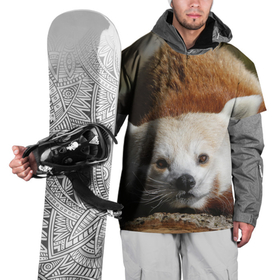 Накидка на куртку 3D с принтом Красная панда ждёт в Петрозаводске, 100% полиэстер |  | Тематика изображения на принте: 