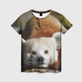 Женская футболка 3D с принтом Красная панда ждёт в Тюмени, 100% полиэфир ( синтетическое хлопкоподобное полотно) | прямой крой, круглый вырез горловины, длина до линии бедер | 