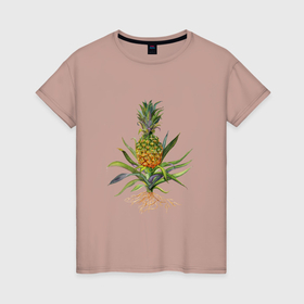 Женская футболка хлопок с принтом Ананас ботаническая иллюстрация в Петрозаводске, 100% хлопок | прямой крой, круглый вырез горловины, длина до линии бедер, слегка спущенное плечо | 