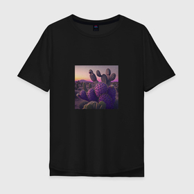 Мужская футболка хлопок Oversize с принтом Фотоснимок кактусов ранним утром в Кировске, 100% хлопок | свободный крой, круглый ворот, “спинка” длиннее передней части | 