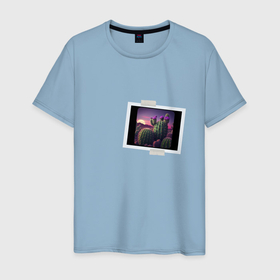 Мужская футболка хлопок с принтом Полароид снимок кислотных кактусов в Курске, 100% хлопок | прямой крой, круглый вырез горловины, длина до линии бедер, слегка спущенное плечо. | 