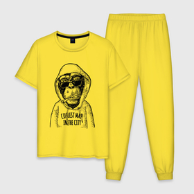 Мужская пижама хлопок с принтом Monkey hipster в Тюмени, 100% хлопок | брюки и футболка прямого кроя, без карманов, на брюках мягкая резинка на поясе и по низу штанин
 | Тематика изображения на принте: 