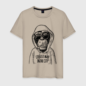 Мужская футболка хлопок с принтом Monkey hipster в Тюмени, 100% хлопок | прямой крой, круглый вырез горловины, длина до линии бедер, слегка спущенное плечо. | Тематика изображения на принте: 