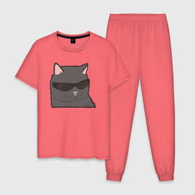 Мужская пижама хлопок с принтом Серый котик в очках в Кировске, 100% хлопок | брюки и футболка прямого кроя, без карманов, на брюках мягкая резинка на поясе и по низу штанин
 | 