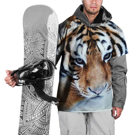 Накидка на куртку 3D с принтом Тигр лежит на снегу в Кировске, 100% полиэстер |  | 